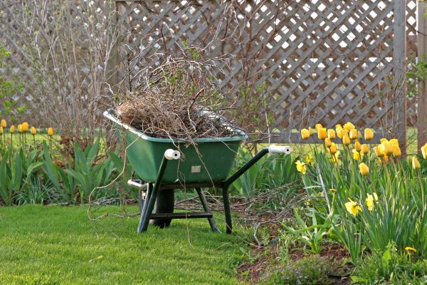 Flower Bed Cleanup Service in Lakeland