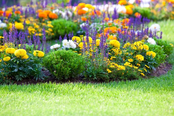 Flower Bed Maintenance in Lakeland