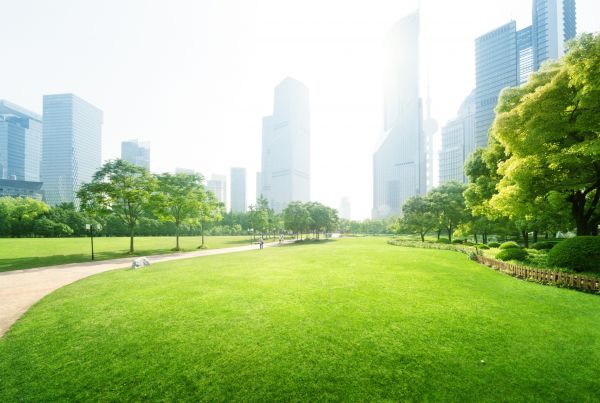 Commercial Landscape Maintenance in Lakeland