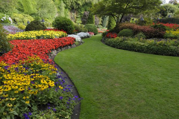 Landscaping Maintenance in Lakeland