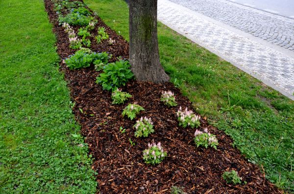 Mulch Replacement Service in Lakeland