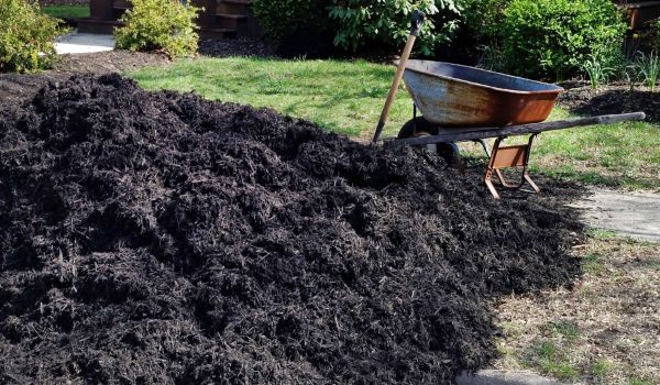 Black Mulch Delivery in Lakeland