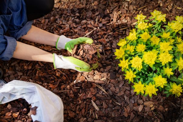 Garden Mulching in Lakeland