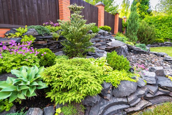 Landscape Remodeling in Lakeland