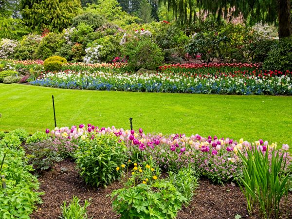 Residential Landscape Design in Lakeland