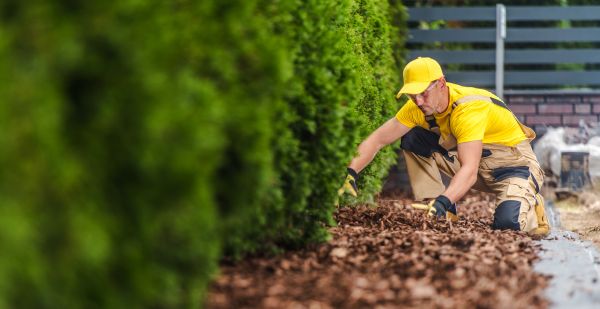 Cypress Mulch Installation in Lakeland
