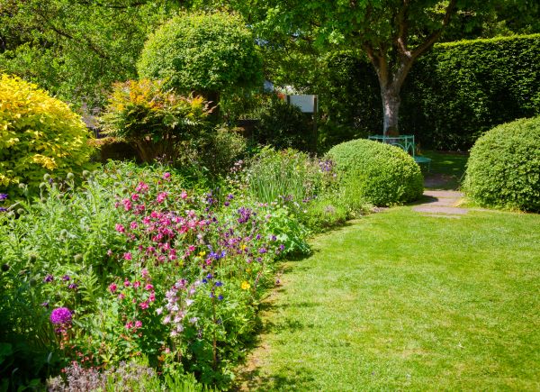 Yard Landscaping Service in Lakeland