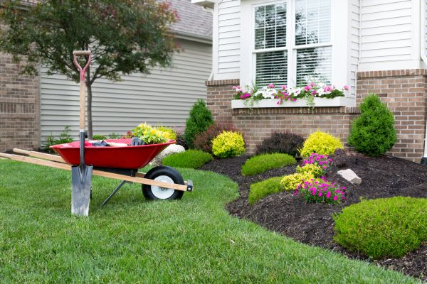 Tree And Shrub Planting in Lakeland