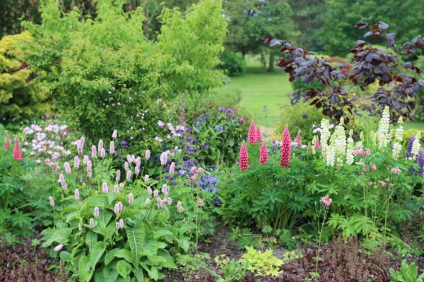 Flower Bed Planting in Lakeland