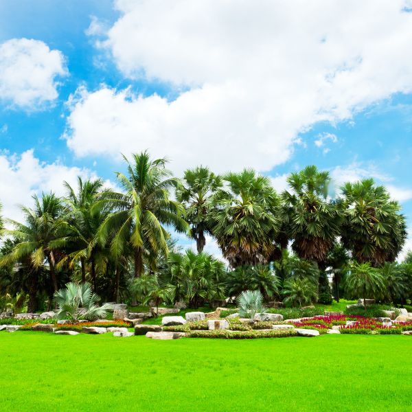 Tropical Landscaping in Lakeland