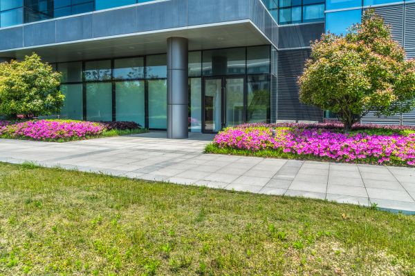 Commercial Gardening in Lakeland