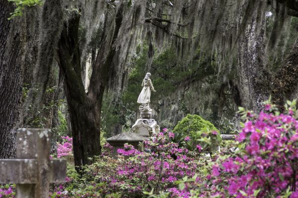Cemetery Landscaping in Lakeland