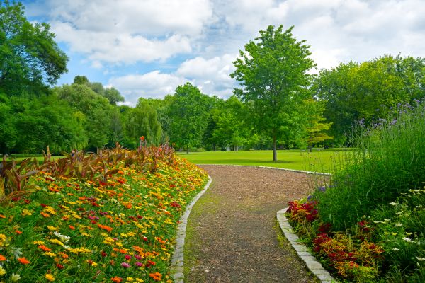 Park Landscaping in Lakeland