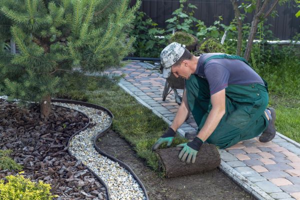 Landscaping Modification in Lakeland