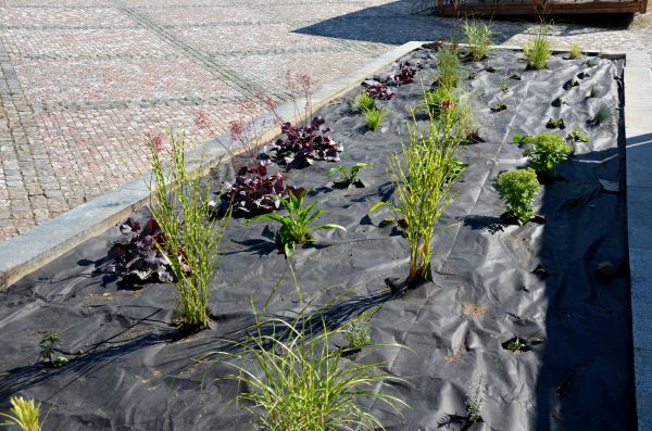 Landscape Fabric Installation in Lakeland