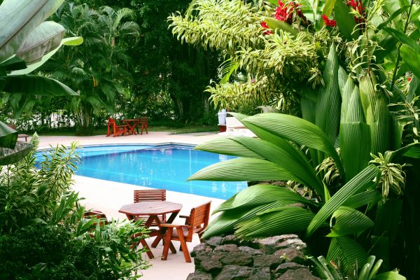 Pool Area Landscaping in Lakeland