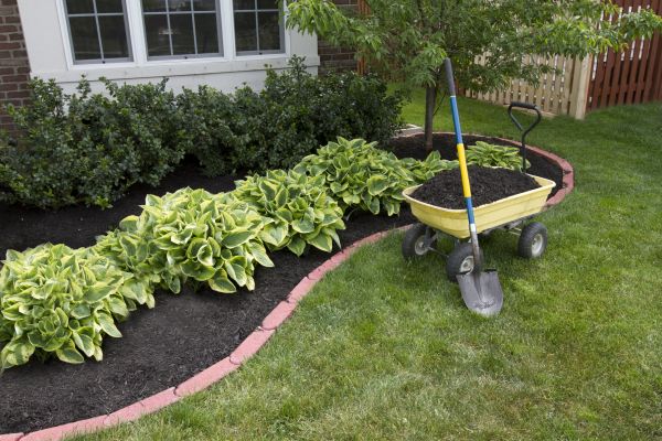 Landscape Mulching in Lakeland
