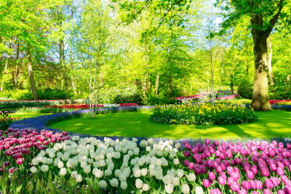 Flower Landscaping in Lakeland