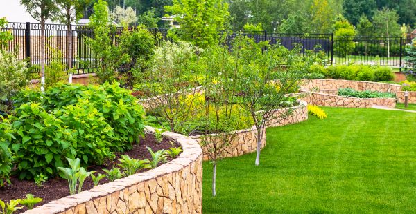Yard Makeover Service in Lakeland