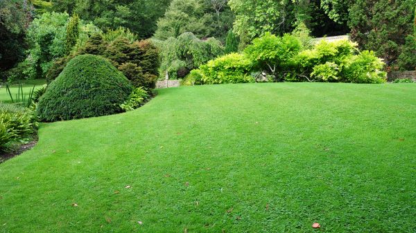 Commercial Landscape Design in Lakeland