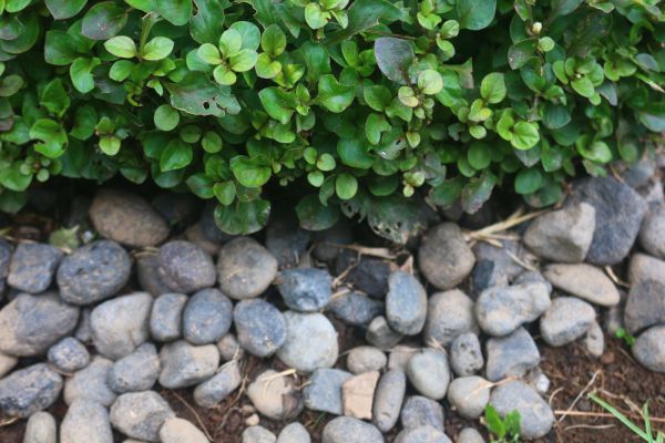 River Stone Installation in Lakeland