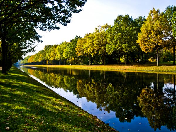Bank Landscaping in Lakeland