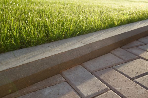 Lawn Edging Replacement in Lakeland