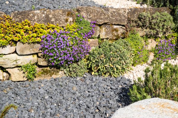 Landscaping Rocks Installation in Lakeland