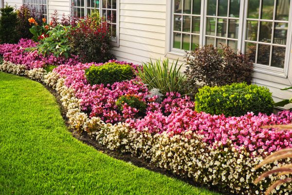 Garden Landscape Design in Lakeland