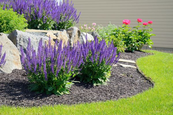 Landscape Planting Service in Lakeland