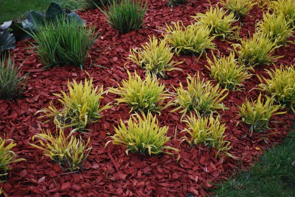 Red Mulch Installation in Lakeland