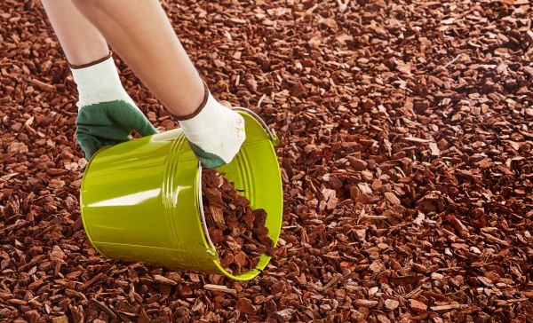 Wood Chip Landscaping in Lakeland