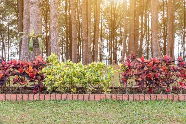 Small Garden Landscaping in Lakeland