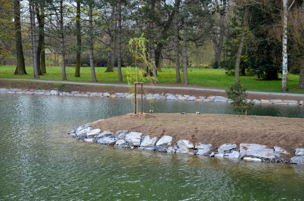 Pond Landscaping Service in Lakeland