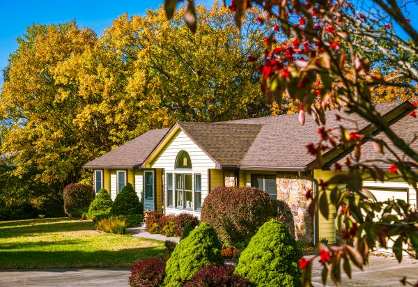 Ranch Landscaping in Lakeland