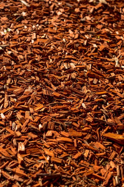 Cedar Mulch Spreading in Lakeland