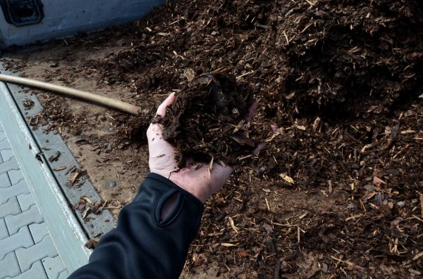 Condo Mulching in Lakeland