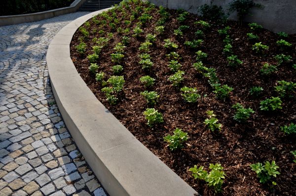 Commercial Mulching in Lakeland
