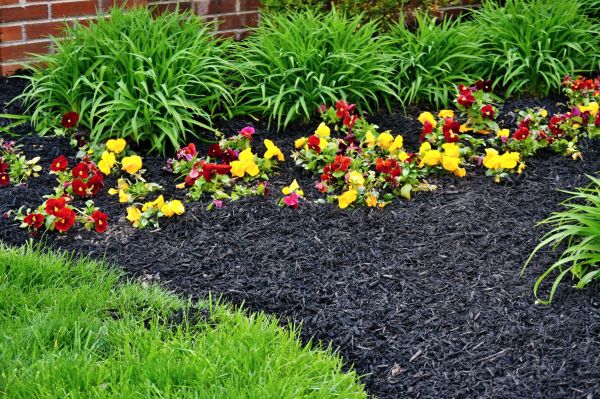 Apartment Mulching in Lakeland