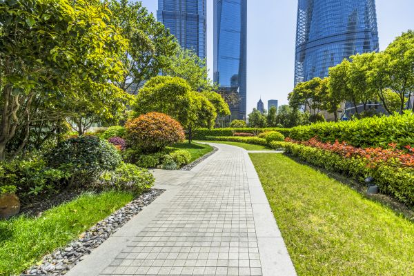 Commercial Landscaping in Lakeland