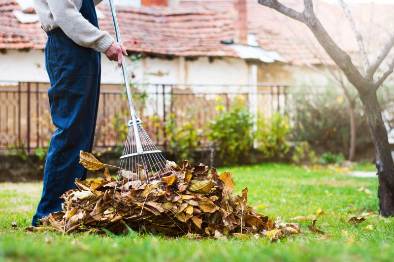 Leaf Raking