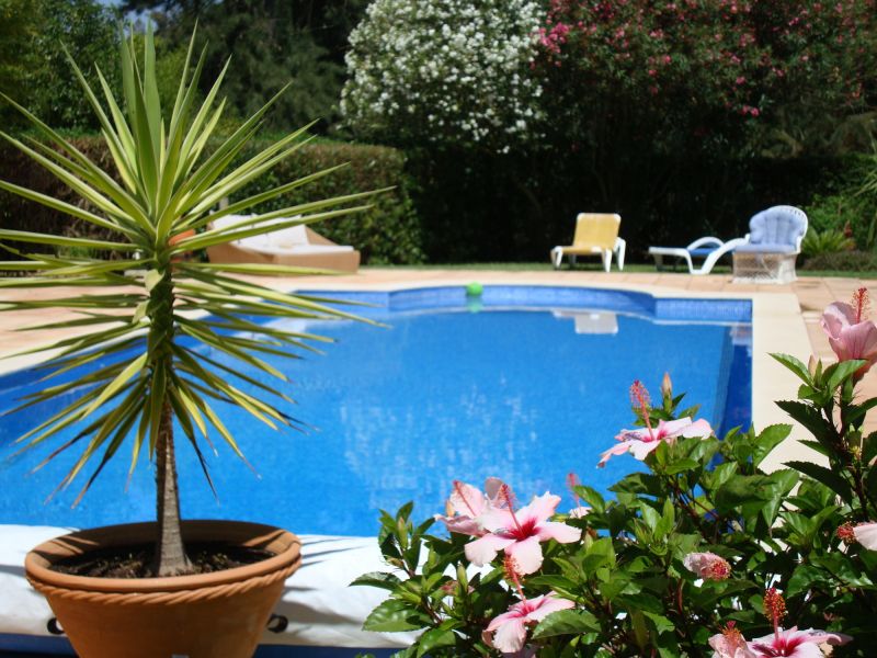 Pool Landscaping Service